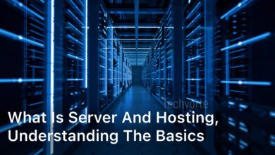 What is Server and Hosting, Understanding the Basics