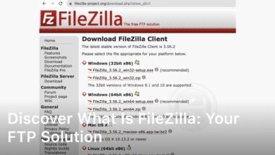 FileZilla: Friend or Foe? Understanding This FTP Client