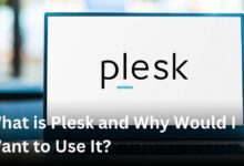 what is plesk