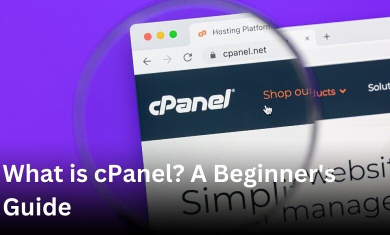 WHM and cPanel: The Dynamic Duo of Web Hosting